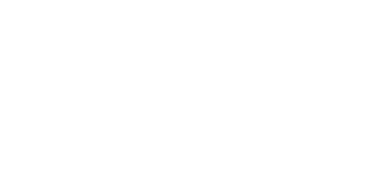 Stretch Zone Logo
